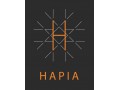 Détails : Hapia - Transport routier de marchandises - Devis transport de palettes